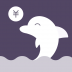 海豚记账本-icon